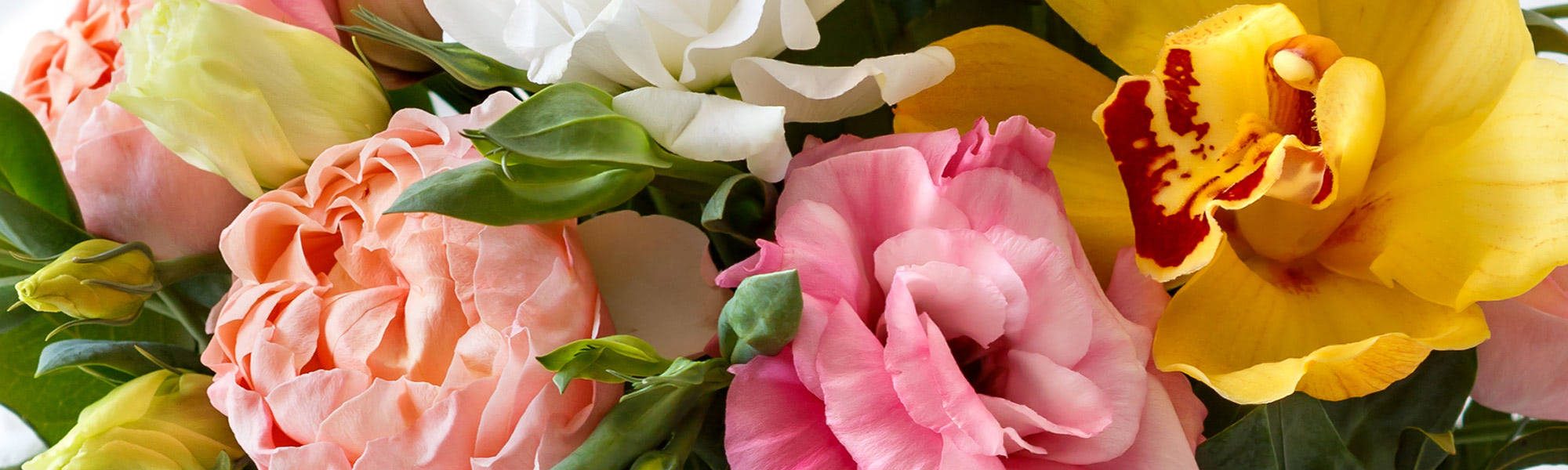 Rancho Mirage, CA SameDay Flower Delivery Rancho Mirage Florist